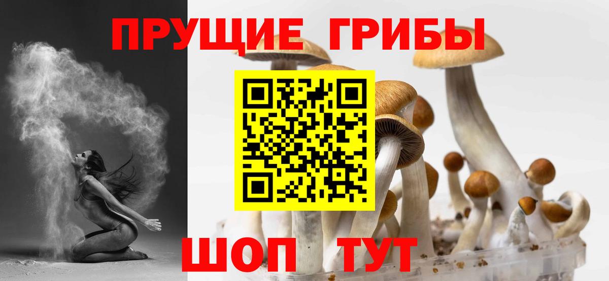 Псилоцибиновые грибы Psilocybine cubensis Мыски